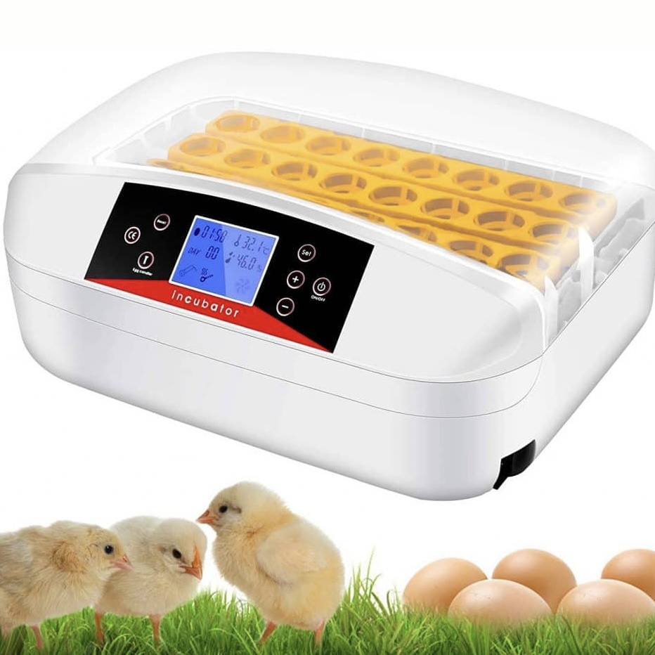 204 Egg Incubator Bundle